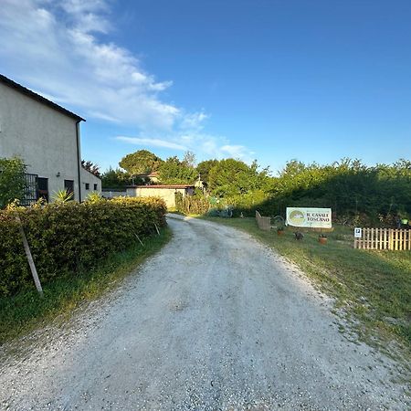 - Il Casale Toscano - 1900Mt From Leaning Tower - No Breakfast - Free Parking Pisa Exterior foto